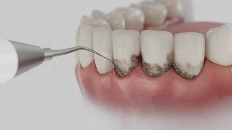Reliable Dental contractor in Livonia, MI by Dentist Open Now